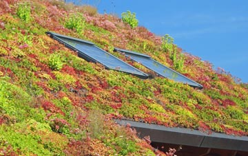 Glossop living roof systems